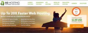 Web Hosting Companies in Dubai