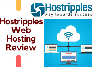 Why Hostripples is the best web hosting solution for hosting your website? Hostripples Web Hosting Review