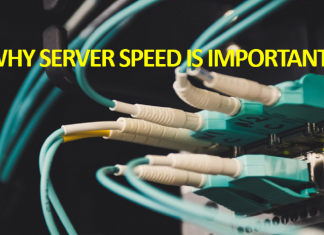 Importance of Server Speed in Increasing Revenues Importance of Server Speed in Increasing Revenues